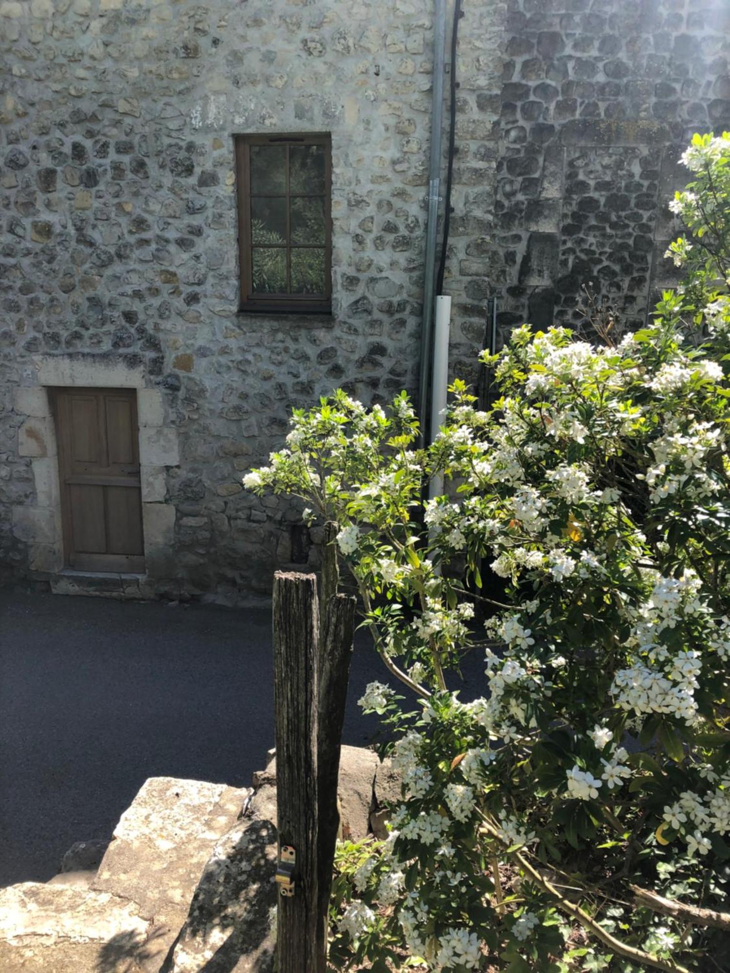Gite Des Pins Saint-Maurice-dʼIbie Exterior foto